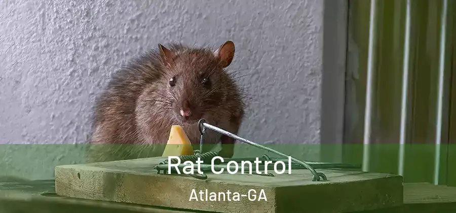  Rat Control Atlanta-GA