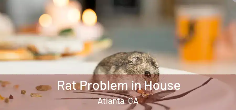  Rat Problem in House Atlanta-GA