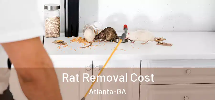  Rat Removal Cost Atlanta-GA