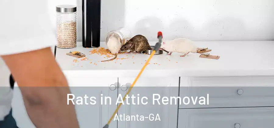  Rats in Attic Removal Atlanta-GA