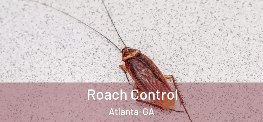  Roach Control Atlanta-GA