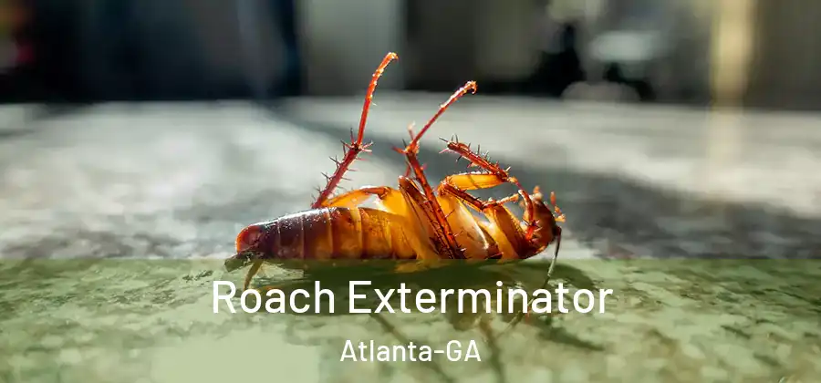  Roach Exterminator Atlanta-GA