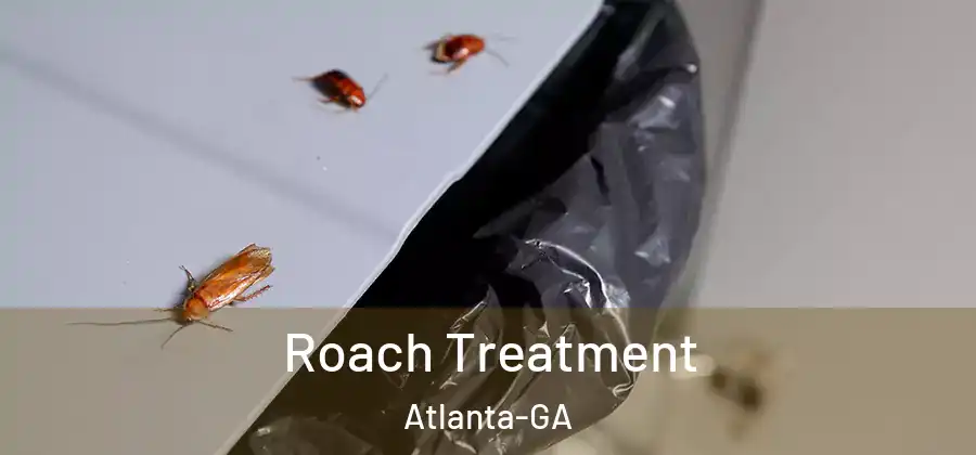 Roach Treatment Atlanta-GA