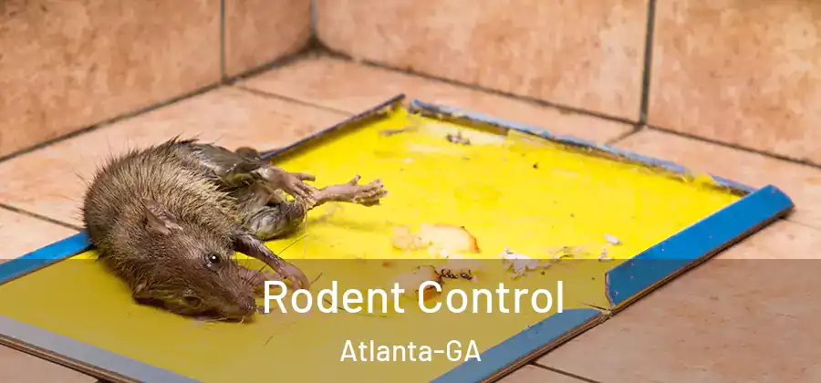 Rodent Control Atlanta-GA