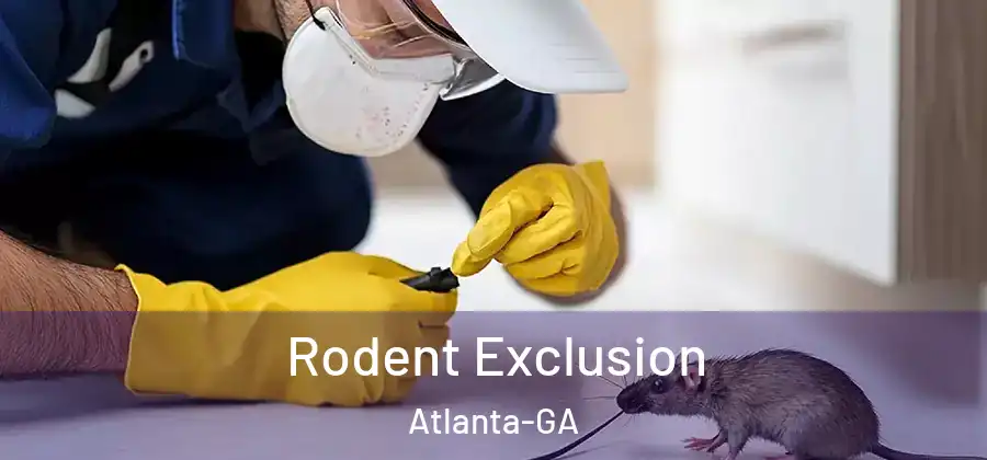  Rodent Exclusion Atlanta-GA