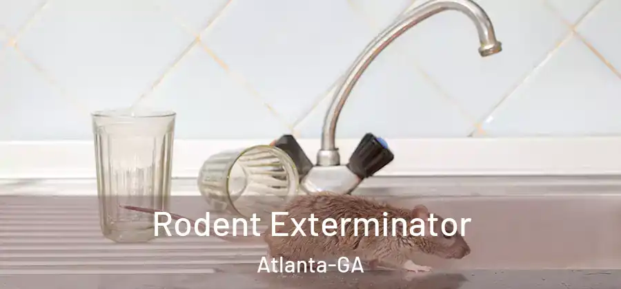  Rodent Exterminator Atlanta-GA