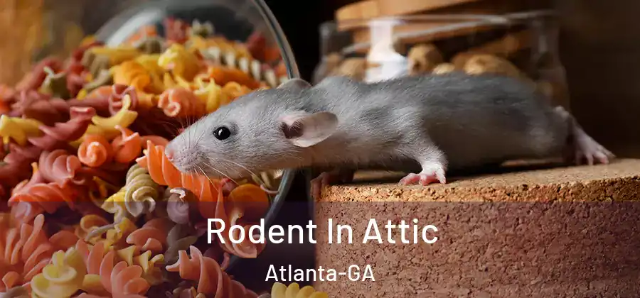  Rodent In Attic Atlanta-GA