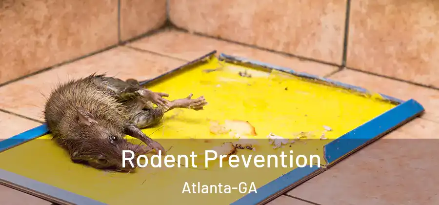  Rodent Prevention Atlanta-GA