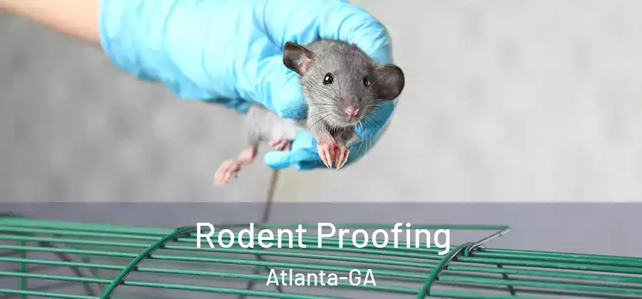  Rodent Proofing Atlanta-GA