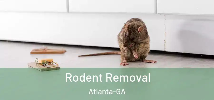  Rodent Removal Atlanta-GA