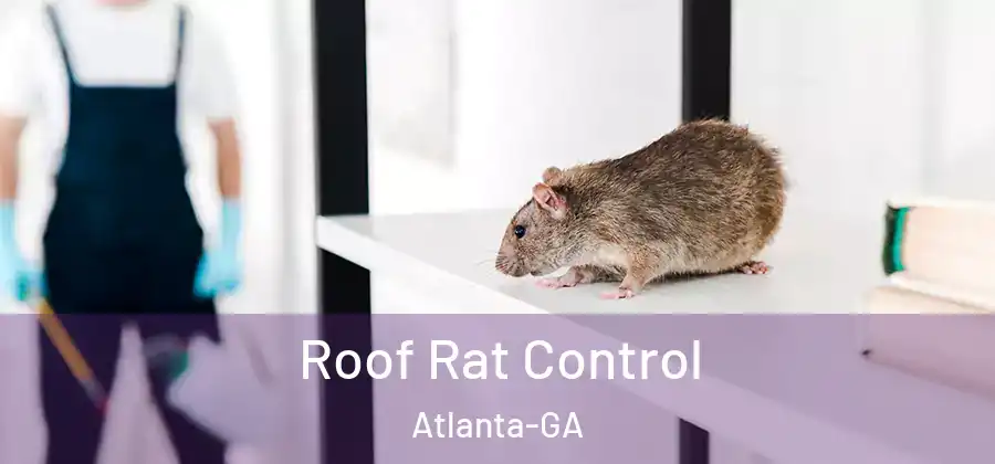 Roof Rat Control Atlanta-GA