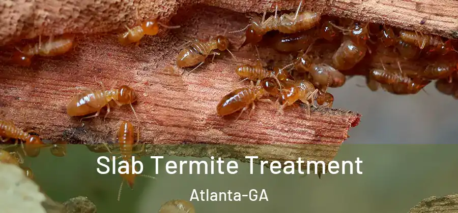 Slab Termite Treatment Atlanta-GA
