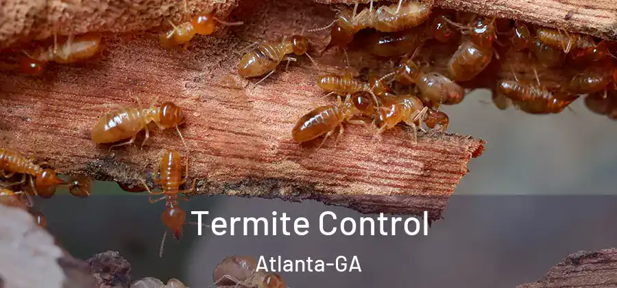  Termite Control Atlanta-GA