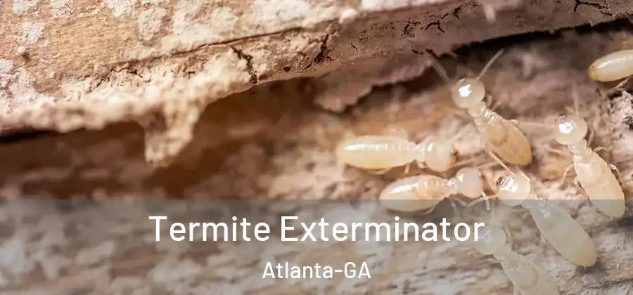 Termite Exterminator Atlanta-GA