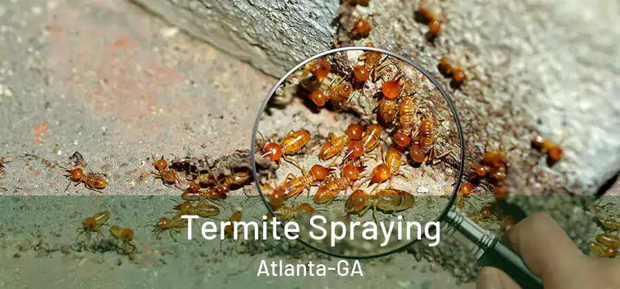 Termite Spraying Atlanta-GA
