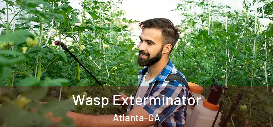 Wasp Exterminator Atlanta-GA