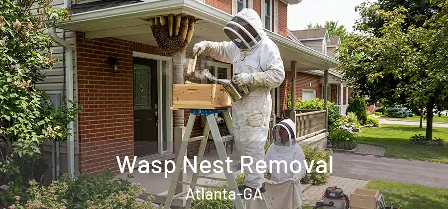 Wasp Nest Removal Atlanta-GA