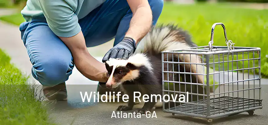  Wildlife Removal Atlanta-GA
