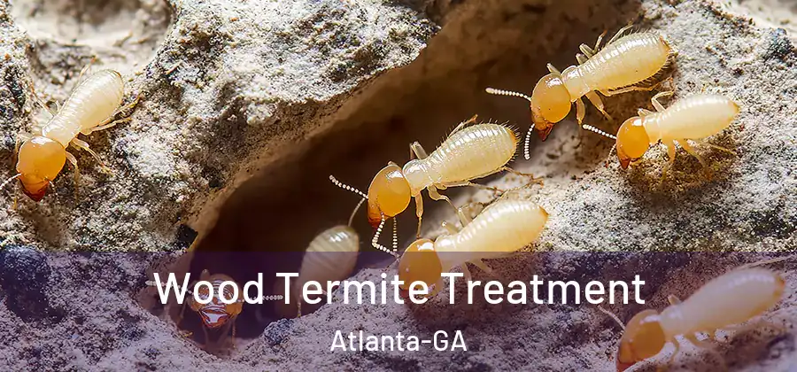 Wood Termite Treatment Atlanta-GA