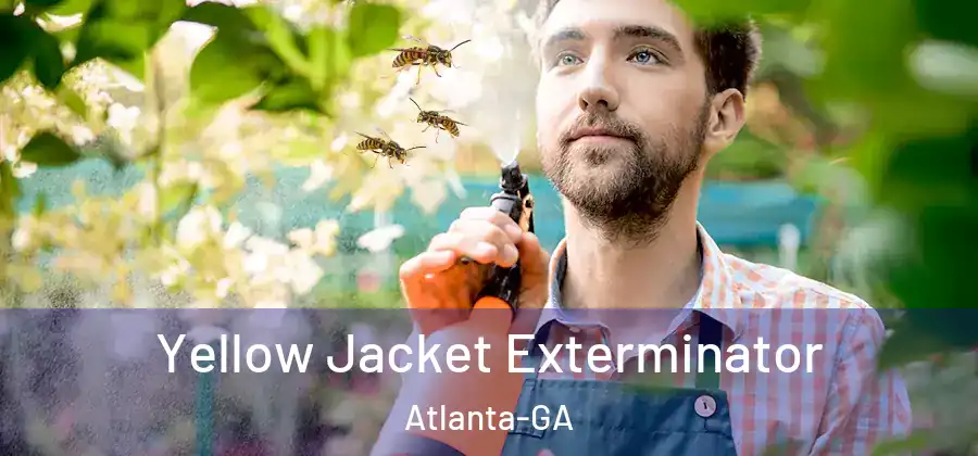  Yellow Jacket Exterminator Atlanta-GA