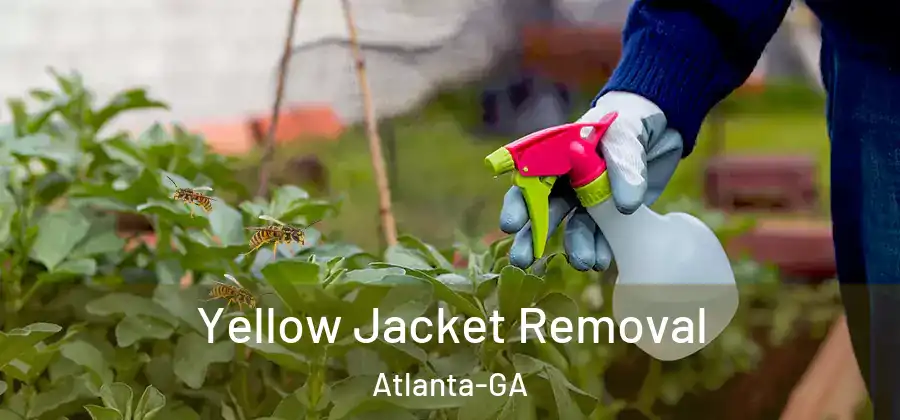 Yellow Jacket Removal Atlanta-GA